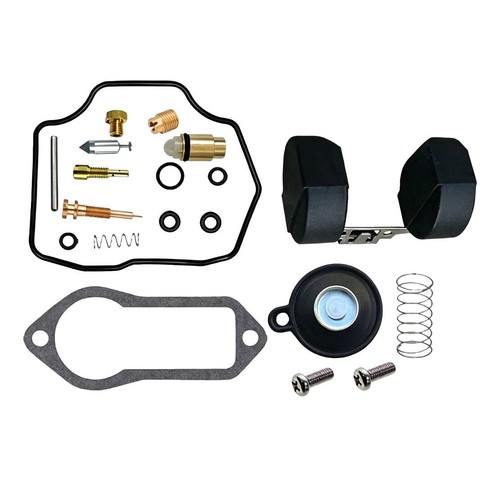 Premium carburetor repair kit - premium,
