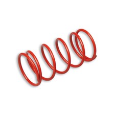 Red Malossi MULTIVAR contrast spring for Suzuki Address AH 50 2T AC