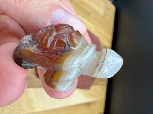 Crystal turtle agate turtles - crystal,