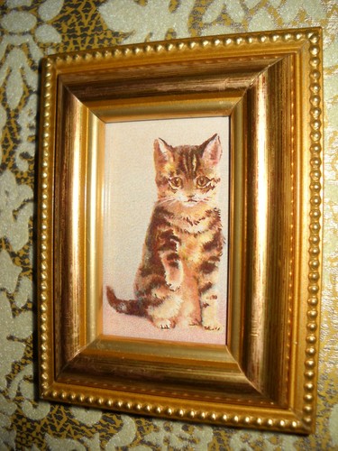Kitten offers paw - paw, 2