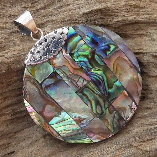 Paua abalone shell round - shell,