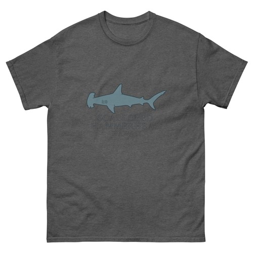 Hammerhead shark hawaii - hammerhead,