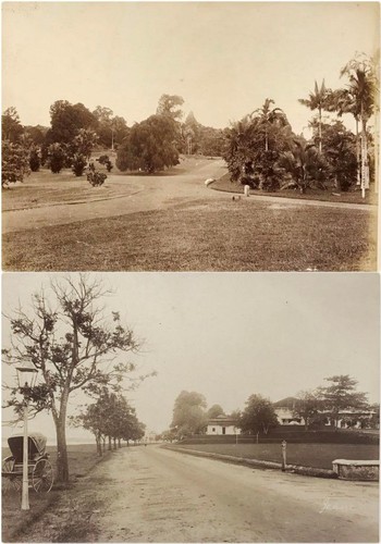 Two large 1880 albumen - large,