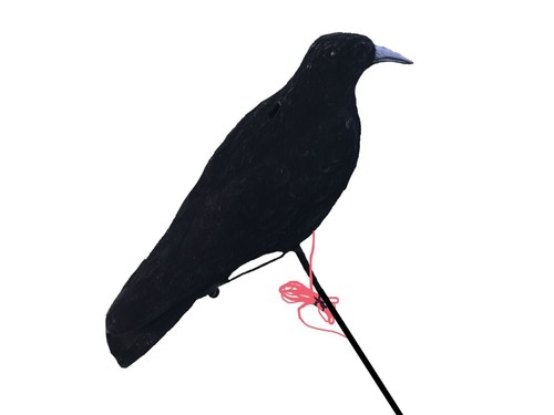 Pecking crow decoy - pecking,