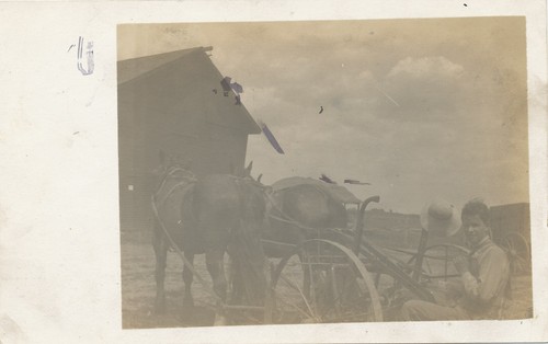 Horse drawn farm cultivator - drawn,