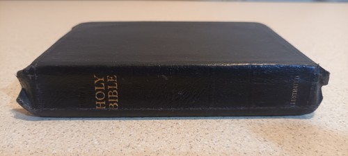 Holy bible illustrated 1937 - holy,