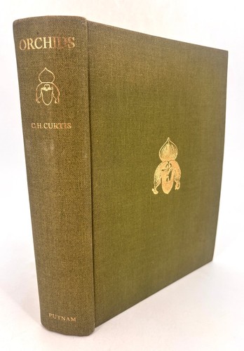 Curtis orchids - c.h.,