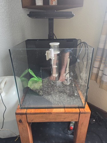 Maxspect dice nano - reef, tank