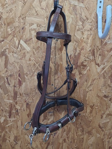 English leather lunging - english,