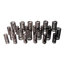 JAGUAR MK5 VALVE SPRING SET