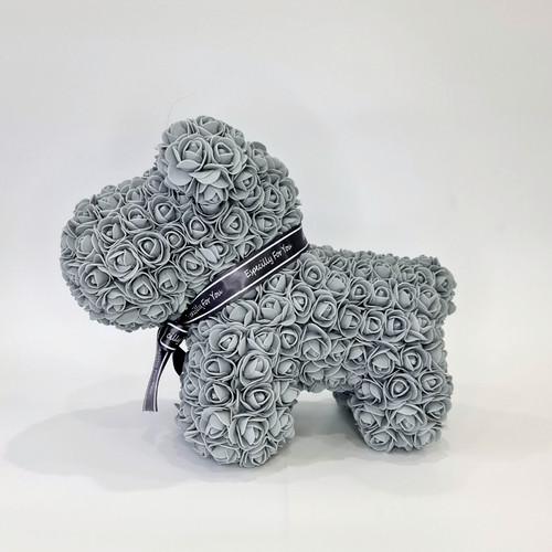 Rose bear dog - dog,,
