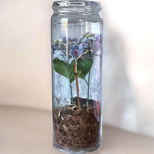 Tall glass terrarium with - tall,