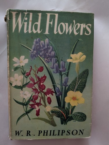 Wild flowers philipson - wild,