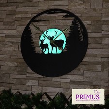 Primus Stags in Forest