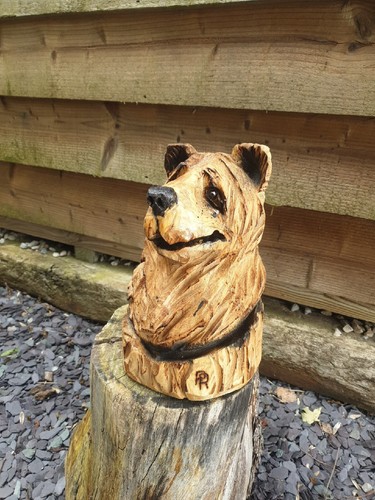 Chainsaw carved bear - carved,