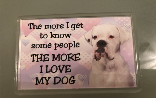 Love dog white boxer - my,