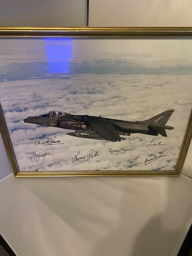 Vintage framed harrier jet - harrier,