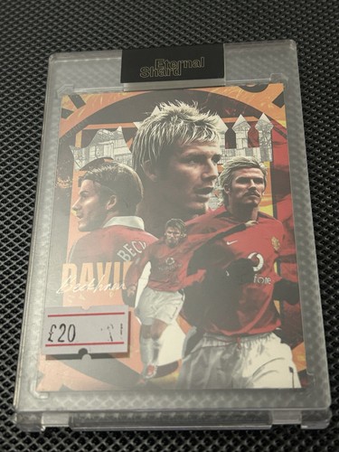 David beckham manchester - david,