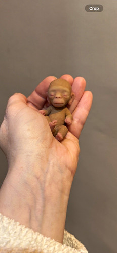 Silicone baby monkey authentic