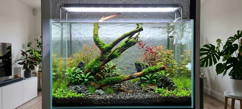 Natural aquarium driftwood - aquarium,