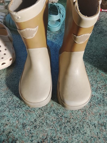 George asda tan dinosaur - george,