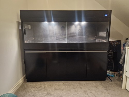 6ft vivarium