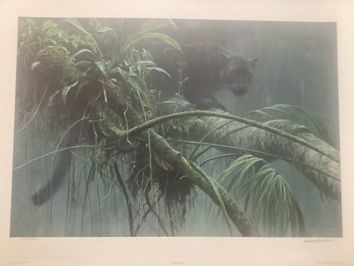 Robert bateman shadow the - bateman, of