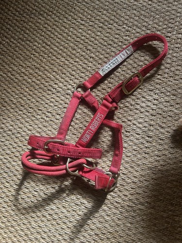Monty roberts dually halter - roberts,