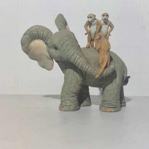 Tuskers the adventures - tuskers,