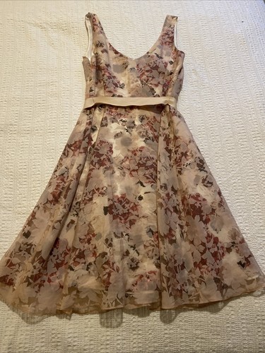 Phase eight occasion dress - occasion,