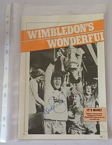 Wimbledon dave beasant - fc,