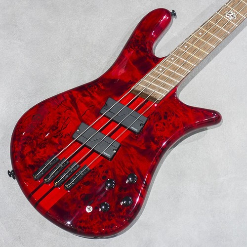 Spector dimension 4 - spector, ns