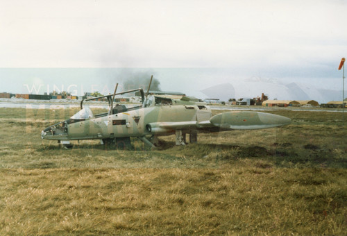 Wrecked aermacchi 339 - wrecked,