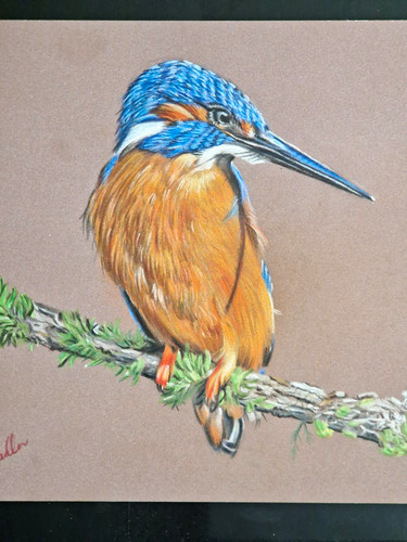 Kingfisher bird original - bird,