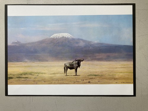 African wildlife print - ,
