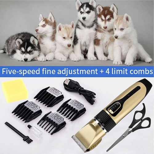 Pet men hair - clippers, low