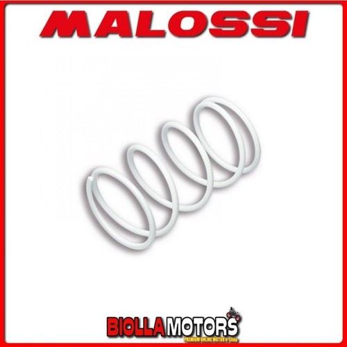 2911478 spring variator - 2911478.w0,