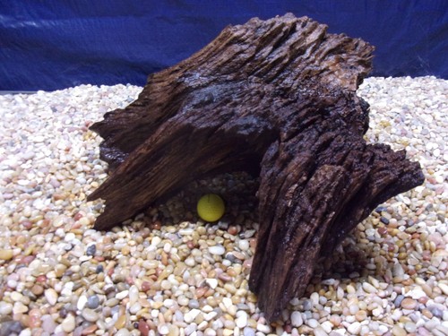 Large driftwood x19 x16 - driftwood, 12"x19"x16"