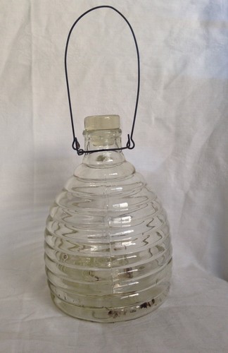 Vintage glass wasp - vintage, catcher