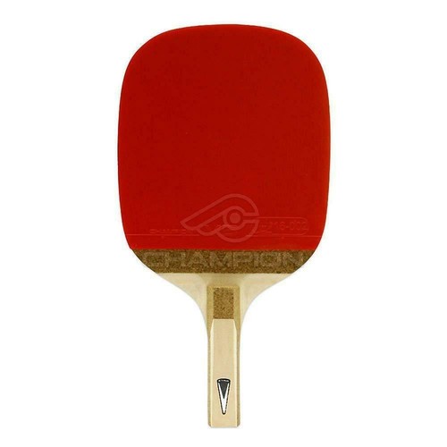 Champion table tennis - champion,