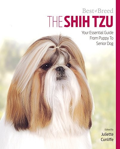 Shih tzu best breed your - tzu, of