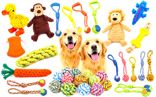 Dog rope toys - toys, bundle