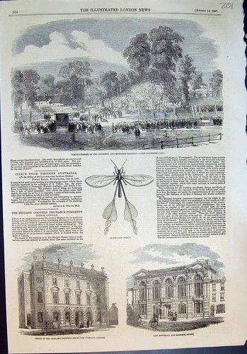 Original old antique - original, print