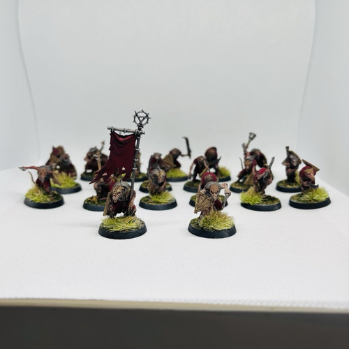 Painted fantasy wargaming - painted,