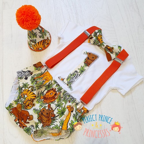 Jungle safari baby boys 1st