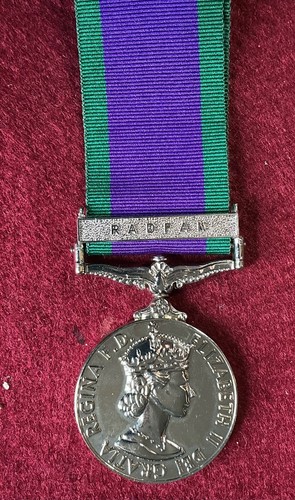 Campaign service medal radfan - medal,