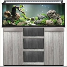 Tropical Fish Tank contents 