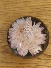 Hafod Grange Vintage Chrysanthemum Flower Paperweight 1996 Resin. VGC.
