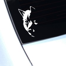 Wild Wolf Staring Decal