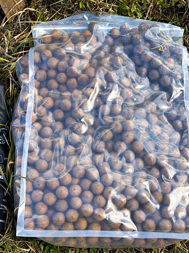 Nash bait shelf life - nash,